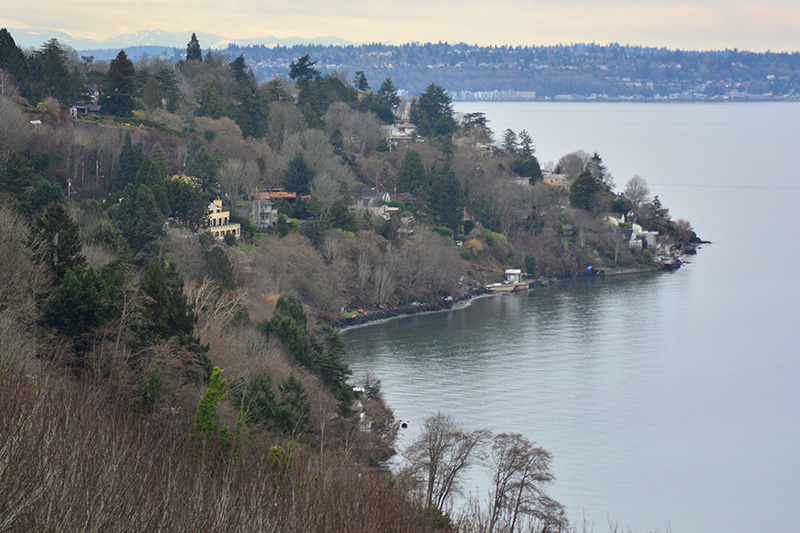 View of Perkins Lane, Elliott Bay, and West Seattle from Discovery Park