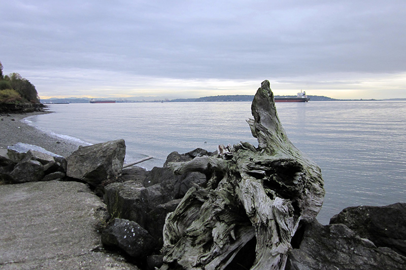 View looking south from the W McGraw street end: Elliott Bay, Puget Sound, and West Seattle