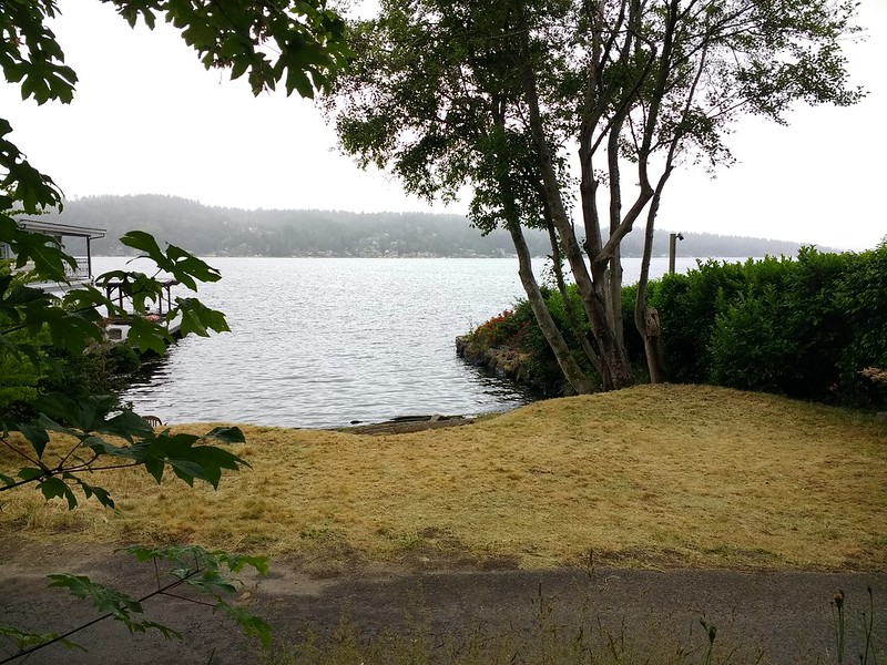View of NE 130th Street park on Lake Washington east of Burke-Gilman Trail and Riviera Place NE, June 18, 2019.