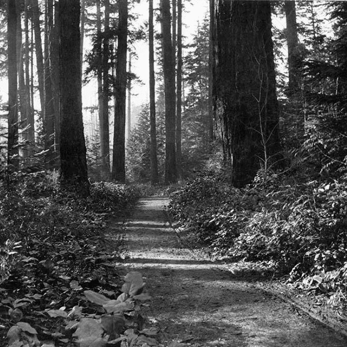 Military Road on Beacon Hill, circa 1900, from https://digitalcollections.lib.washington.edu/digital/collection/imlsmohai/id/9883