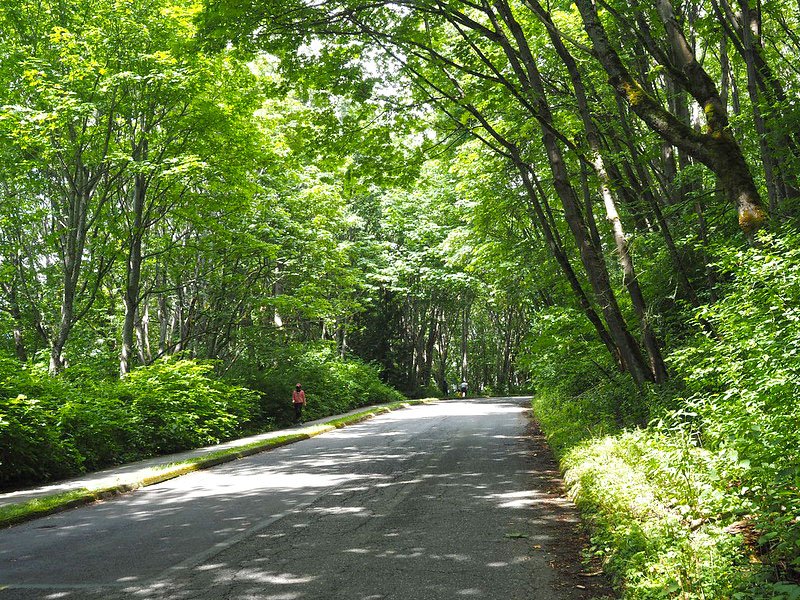 Discovery Park Boulevard, June 28, 2020