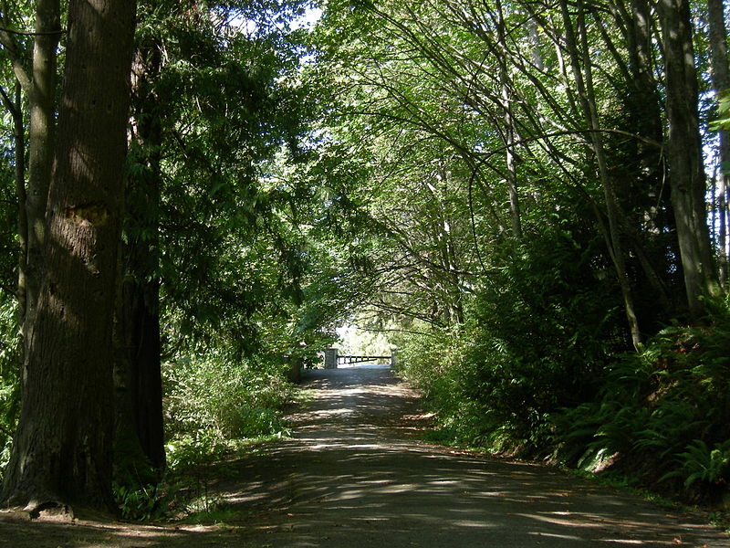 https://commons.wikimedia.org/wiki/File:Seattle_-_Schmitz_Park_road_01.jpg