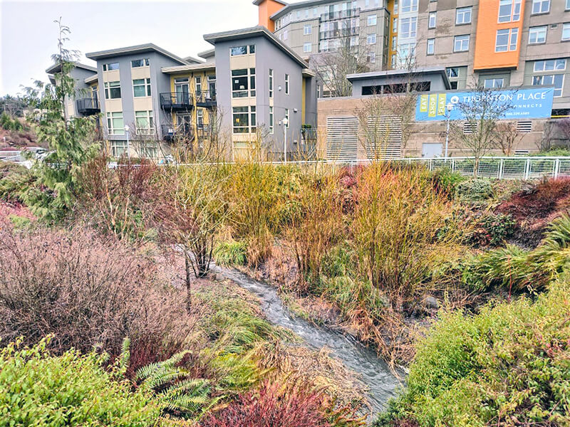 Thornton Creek Water Quality Channel with apartments and Thornton Place sign in background