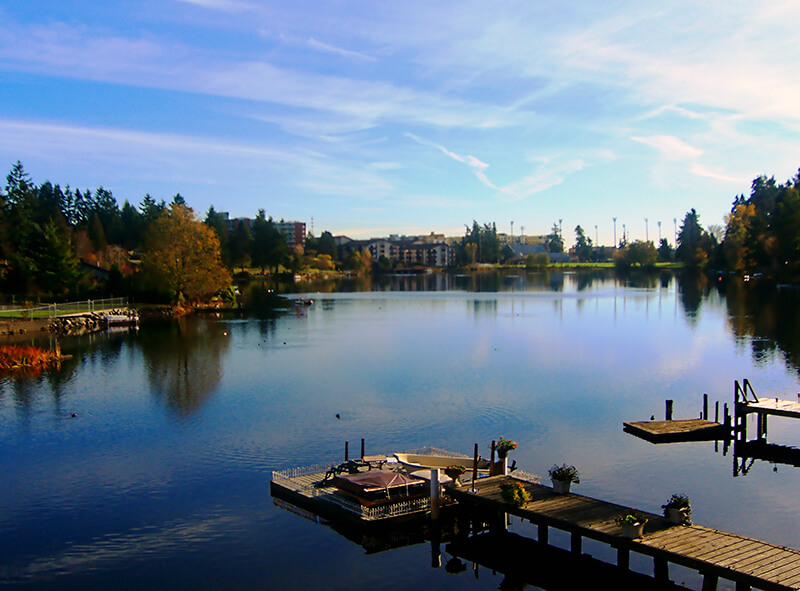 Bitter Lake, 2007